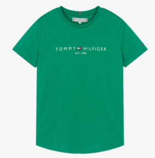 TOMMY HILFIGER Boys Green T-Shirt