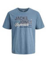 Load image into Gallery viewer, Jack &amp; Jones Boys T-Shirt (9236)
