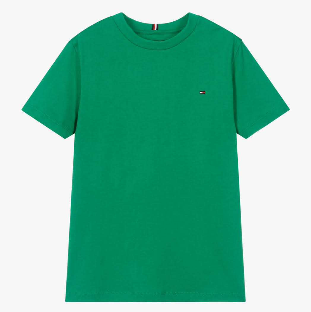 TOMMY HILFIGER Boys Green T-Shirt