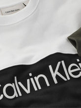 Load image into Gallery viewer, Calvin Klein Boys Sweatshirt
